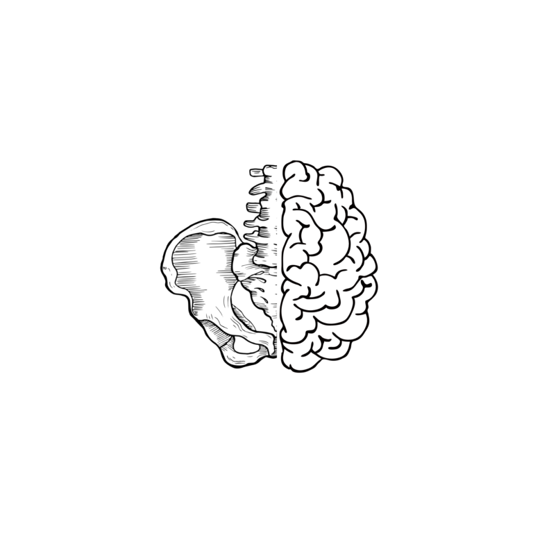@yoymivulva – Fisioterapia de Suelo Pélvico