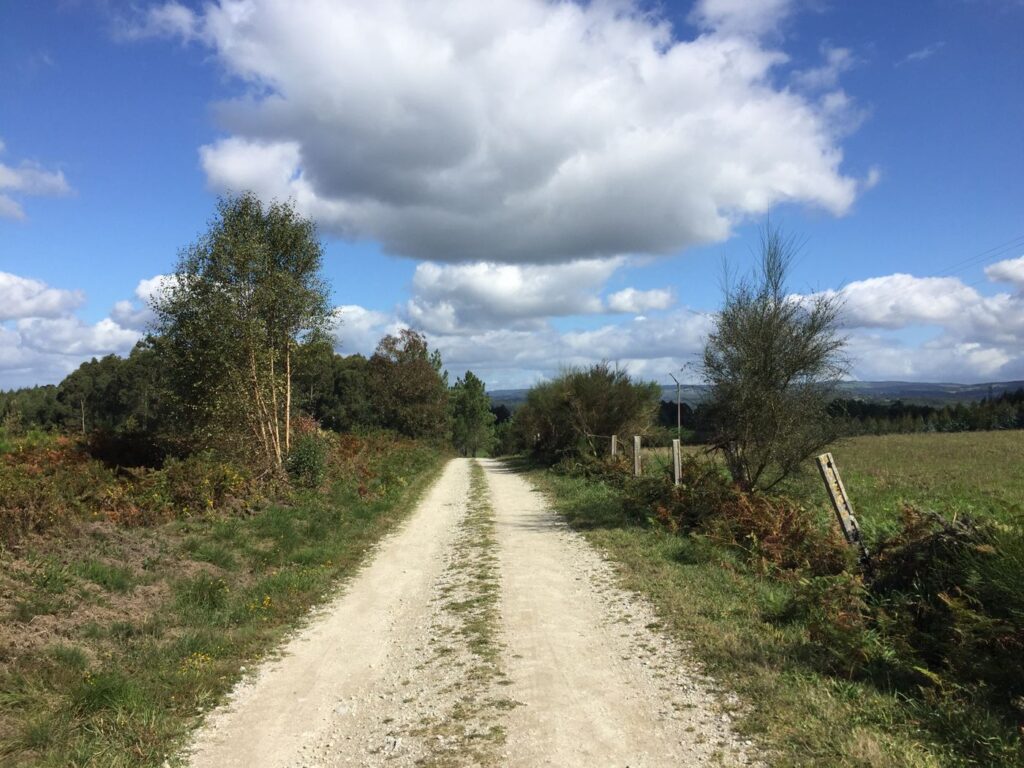Camino de tierra entre campos verdes en la España rural